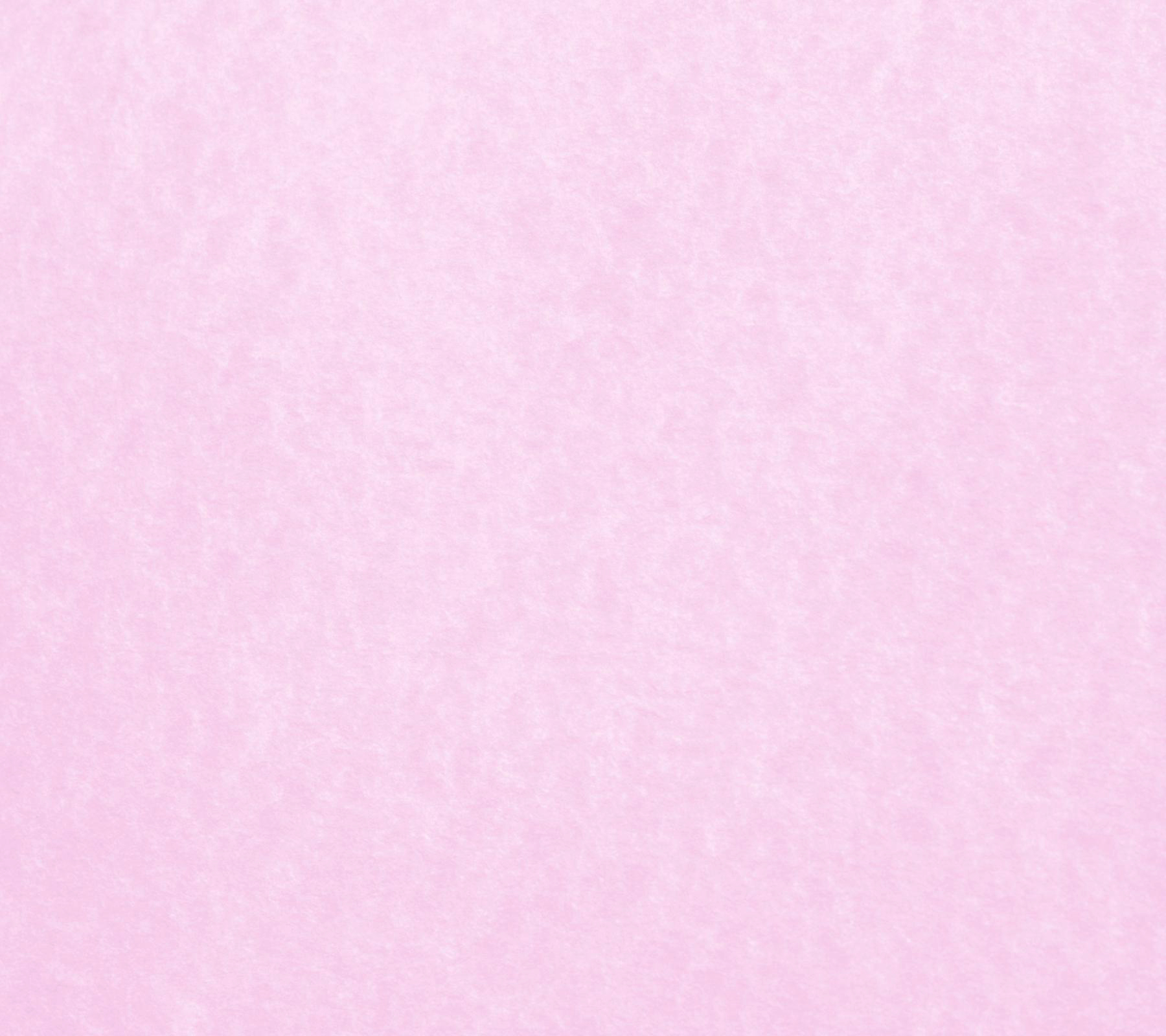 Plain-Light-Pink-Backgrounds - I Love You Florist