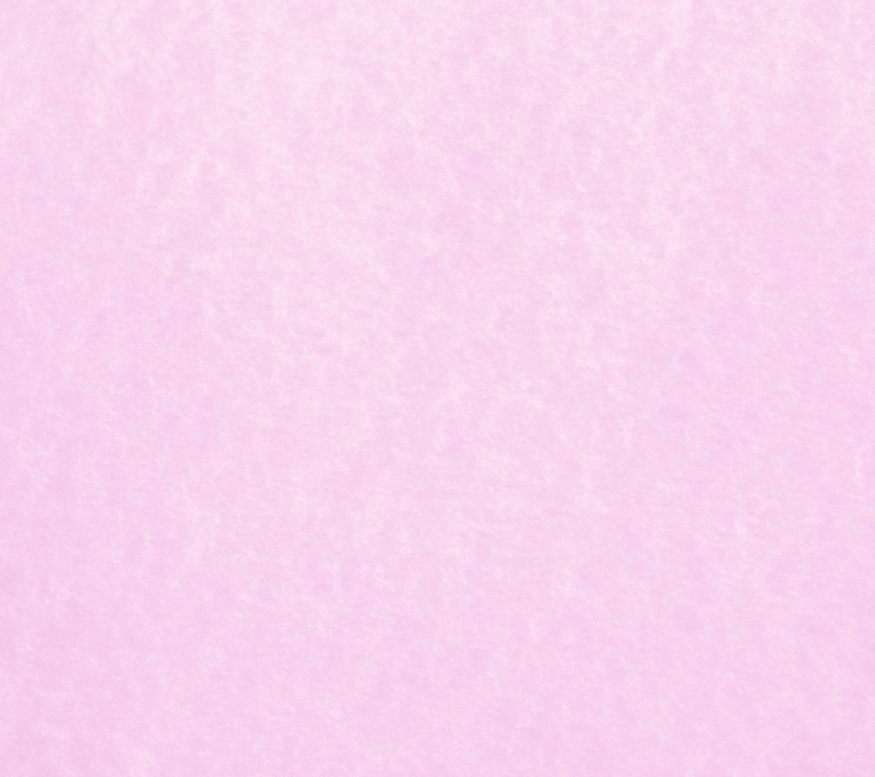 Plain-Light-Pink-Backgrounds - I Love You Florist